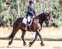 Young Dressage Assoc. Sunday - Arena 6 - 11.04.2021
