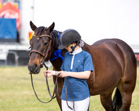 Ma4-4054