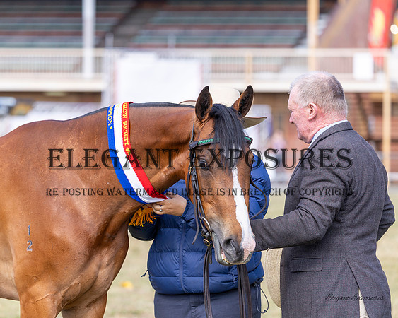 Ma4-5332