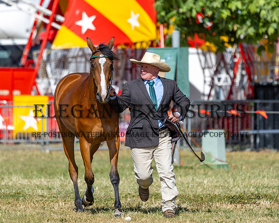 MASX3782