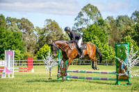 _AJG2010