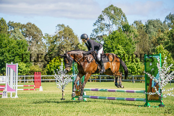 _AJG2010