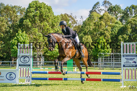 _AJG2018