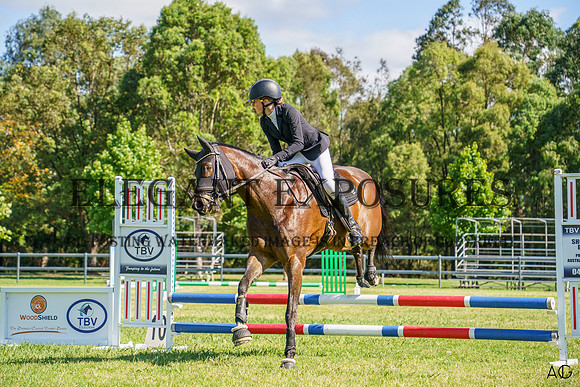 _AJG2019