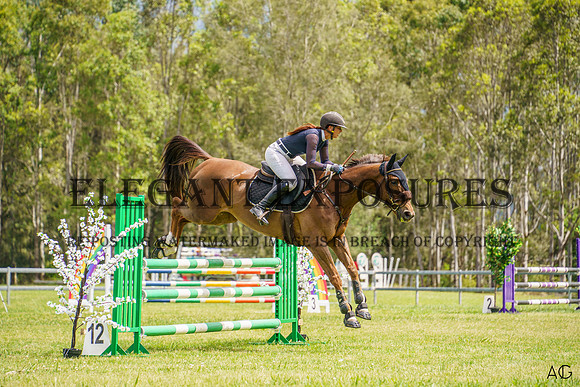 _AJG3234