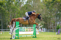 _AJG3461