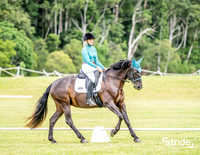 BRC - Dressage - Arena 3 - 09.11.2025
