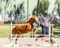 AMHS - SIEC - Ring 3 - 09.11.2025