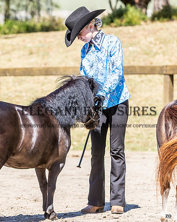 ZJD-4562
