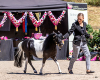 AMHS - SIEC - Ring 1 - 09.11.2025