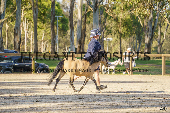 _AJG0584