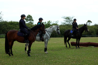 LHL_3560