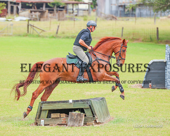 LHL(MS)-4160