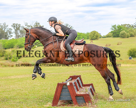 LHL(MS)-4394