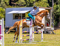 BRC - HT - SJ - 80cm - 16.11.2025