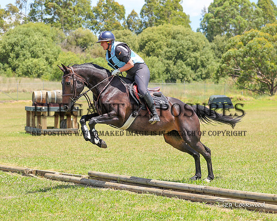 LHL(MS)-5138