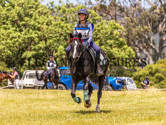 KMS-1152