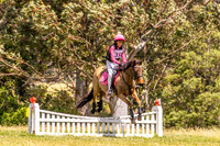 BRC - HT - XC - 50cm - 16.11.2025
