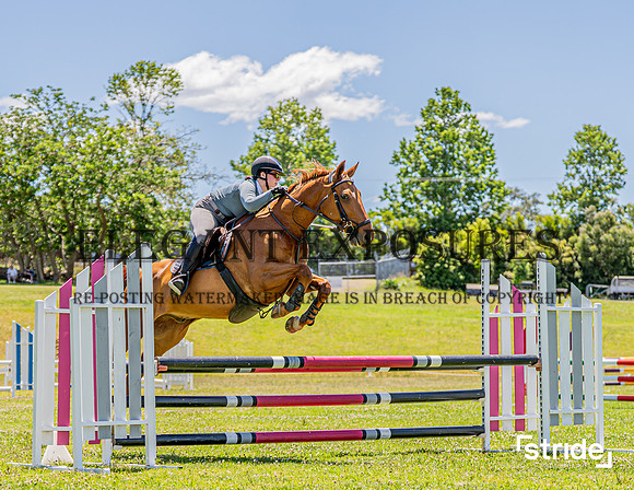 LMW-4797