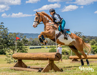 LMW-4929