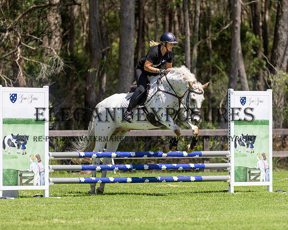 MKGX2596  - Wallaby Hill - SJ - 14.12.2024
