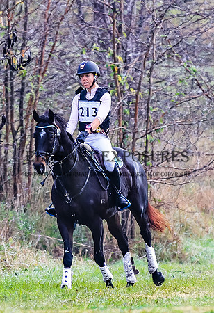 MAS-4905