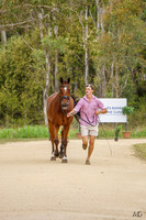 Sydney Int.3DE - Trot Up - 1* - 20.11.2025