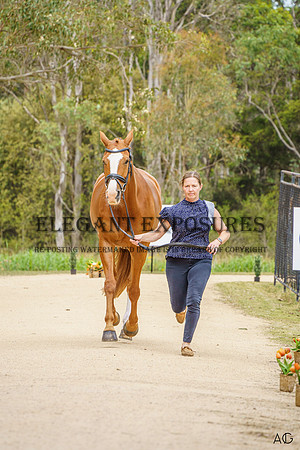 _AJG3847