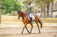 Sydney Int.3DE - Dressage - Arena 9 - 21.11.2025