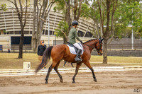 _AJG4521