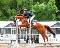 Sydney Int.3DE - Show Jumping 22.11.2025