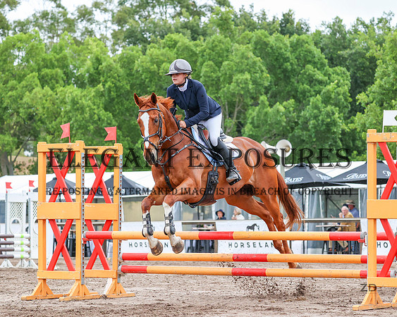 ZJD-8750