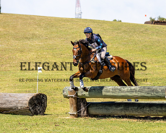 MASX2420
