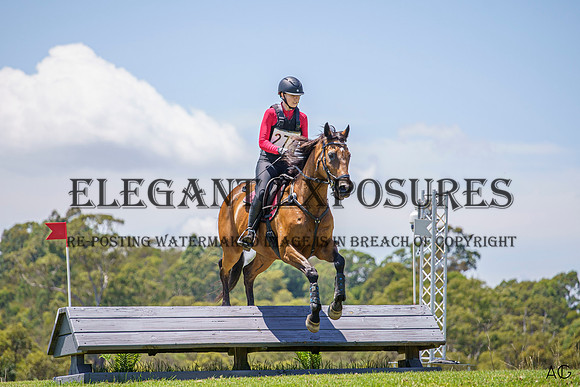 _AJG6386