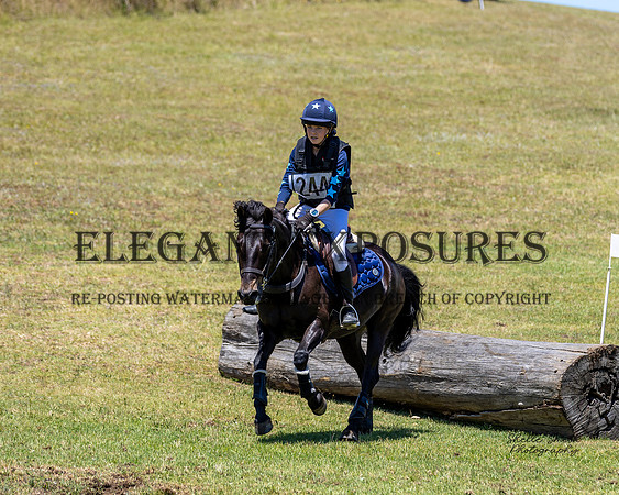 MASX2976