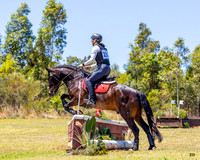ZJD-0319