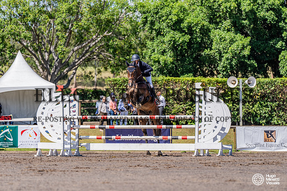 HM_0268