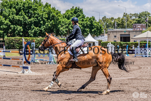 HM_1551