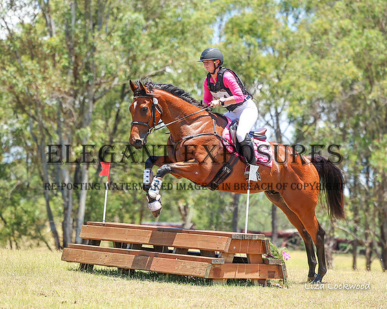 LHL(MS)-7584
