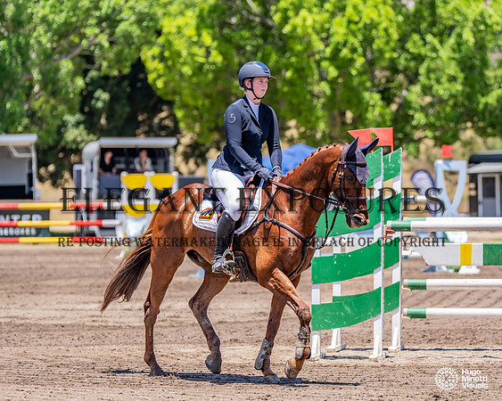 HM_1822