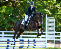 Nowra Showjumping Spring cup - Ring 2