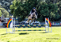 Nowra SJ Sat - Ring 1 - 95cm 12.11.2022