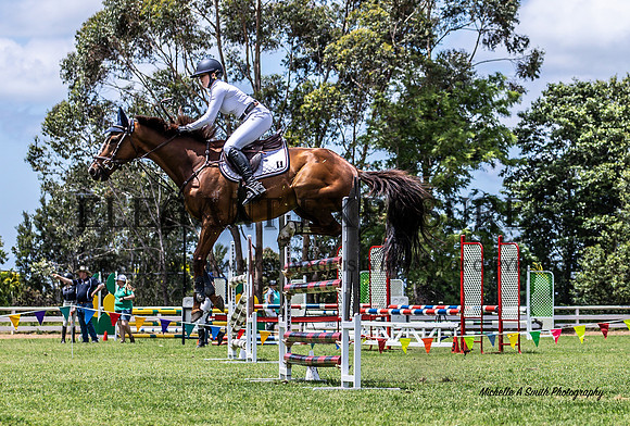 MAS_2923