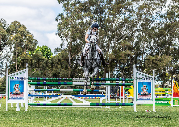 MAS_3006
