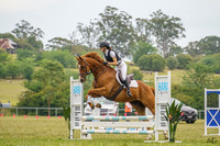 HARA - SJ - End of Yr Champs - Ring 2 29.11.2025