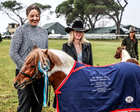 The Shetland Pony Society - Luddenham Show 13.11.2022