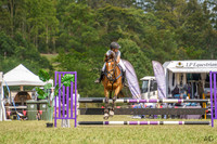 _AJG9252