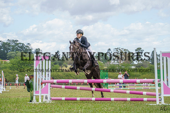 _AJG9341