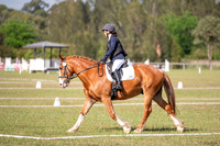 OLS_1207