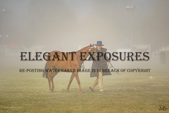 _AJG3051